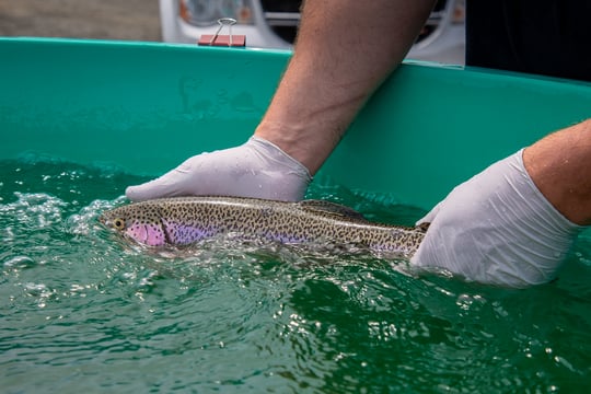 20220525-5T8A3686 (1)