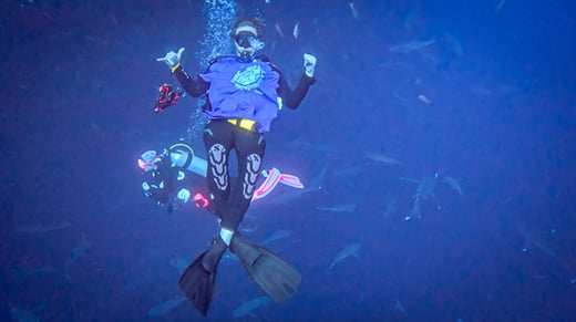 20260107-gregor_dive