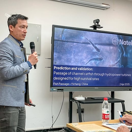 abe_china_fish_passage_2025